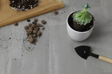 Similar image 21469754