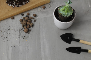 Similar image 21469755