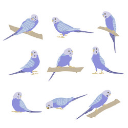 Similar image 21433788