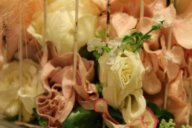 Similar image 21469343