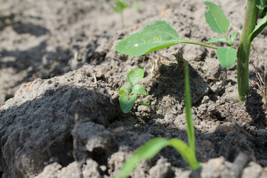 Similar image 21469368