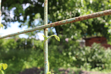 Similar image 21469369