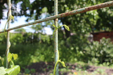 Similar image 21469370