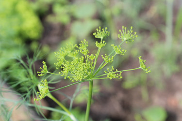 Similar image 21469373