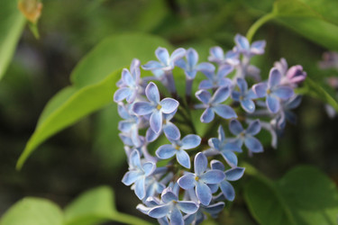 Similar image 21469375