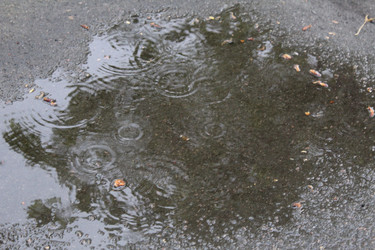 Similar image 21469377