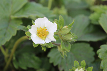 Similar image 21469379