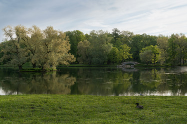 Similar image 21467041