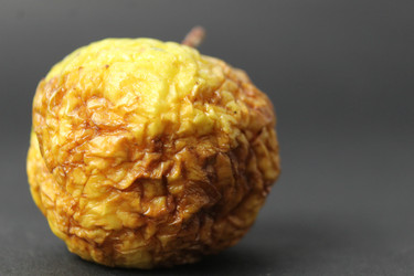 Similar image 21469785