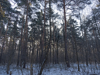 Similar image 21435216