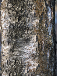 Similar image 21435217