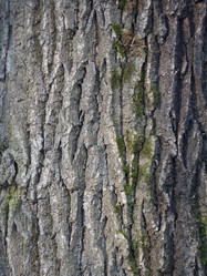 Similar image 21435219