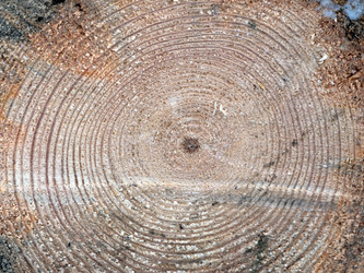 Similar image 21435613