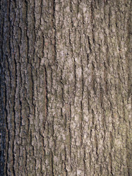 Similar image 21435614