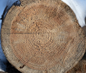 Similar image 21435616