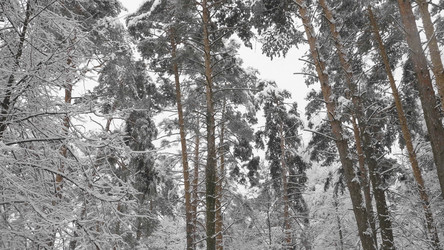 Similar image 21435634