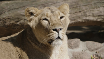 Similar image 21435637