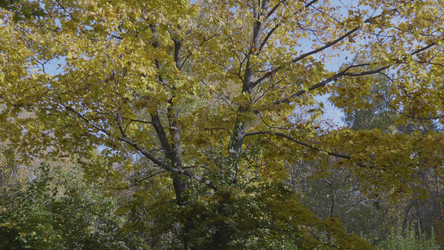 Similar image 21435638