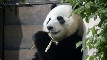 Similar image 21435639