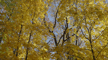 Similar image 21435641