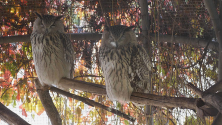 Similar image 21435642