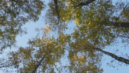 Similar image 21435643