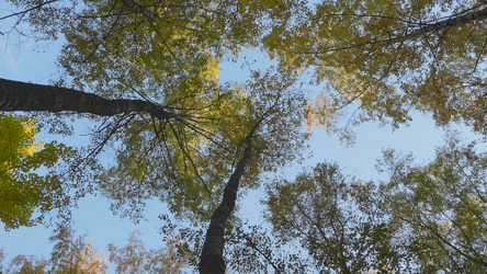 Similar image 21435644