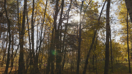 Similar image 21435646