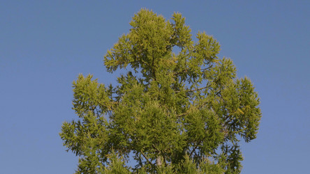 Similar image 21435647