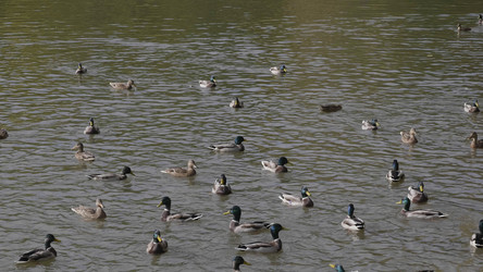 Similar image 21434078