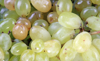 Similar image 21437009