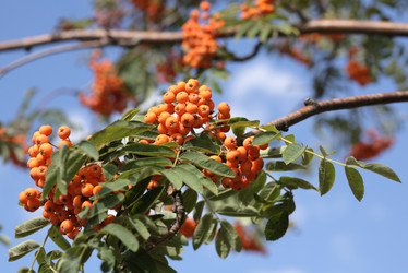 Similar image 21444392