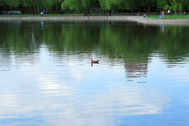 Similar image 21444903