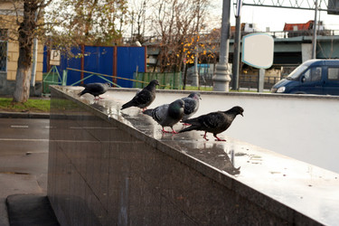 Similar image 21445903