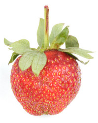 Similar image 21447498