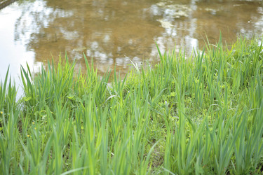 Similar image 21448542