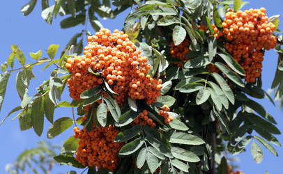 Similar image 21456699