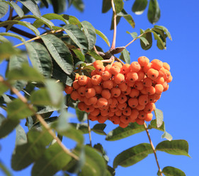 Similar image 21437017