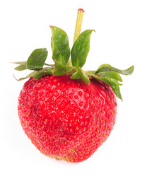 Similar image 21443477