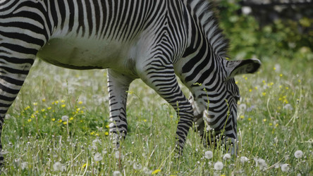 Similar image 21435224