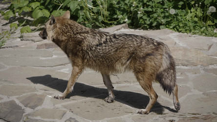 Similar image 21435651