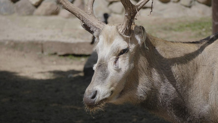 Similar image 21435652