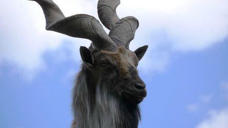 Similar image 21435653