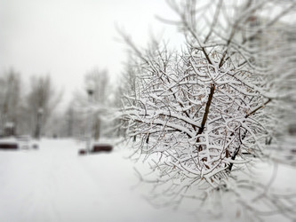 Similar image 21456704