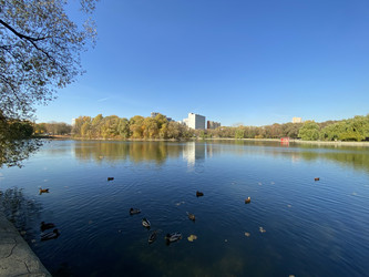 Similar image 21456717