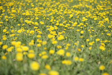 Similar image 21437020