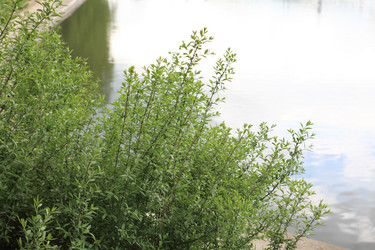 Similar image 21456719