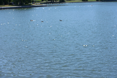 Similar image 21456724