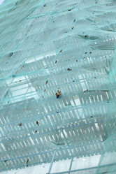 Similar image 21436854