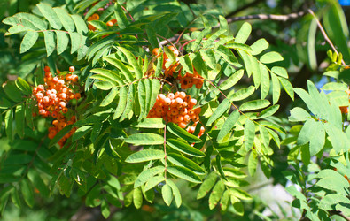 Similar image 21437039